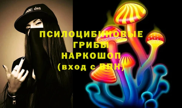 МДПВ Алексеевка