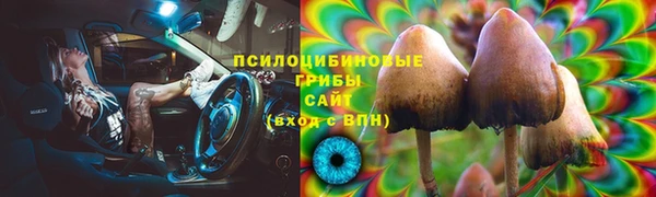 PSILOCYBIN Алзамай