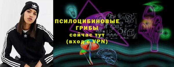 PSILOCYBIN Алзамай