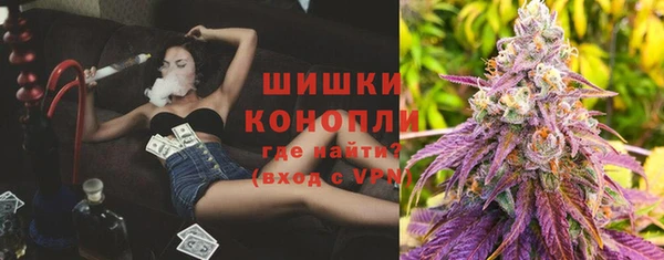 PSILOCYBIN Алзамай