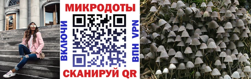Галлюциногенные грибы мухоморы  Харовск 
